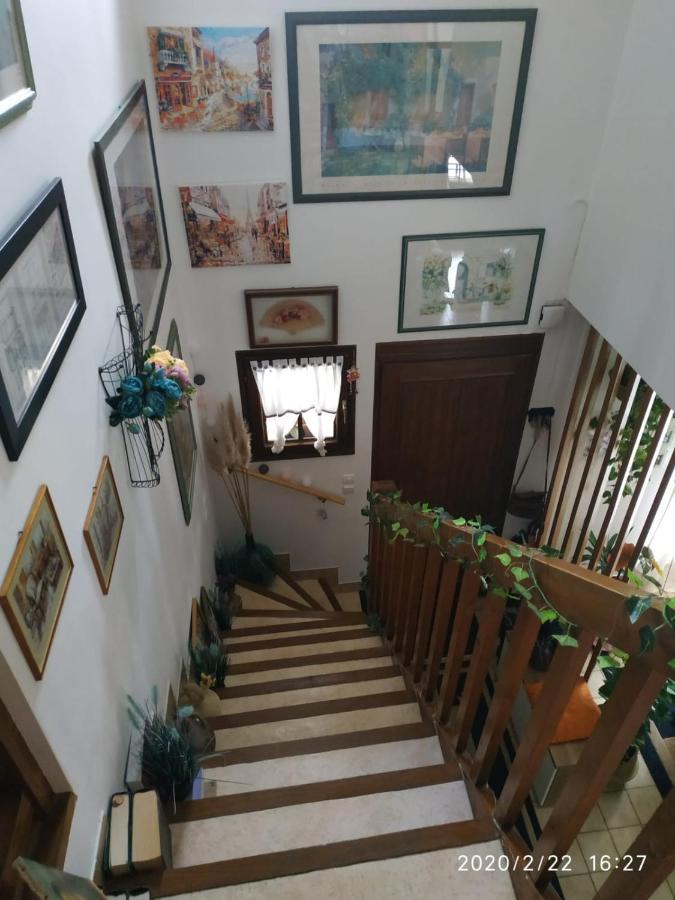 Les De La Casa D'elena Cholet